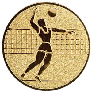 Sentermerke Volleyball