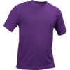 T shirt Purple25 10000 100x100 - St. Louis T-skjorte Unisex (Lilla)