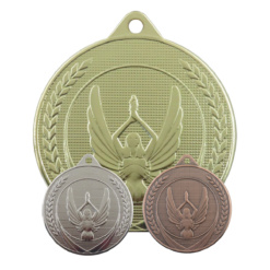 ME36 Alle 247x247 - Medalje ME36 - Seiersgudinnen Nike